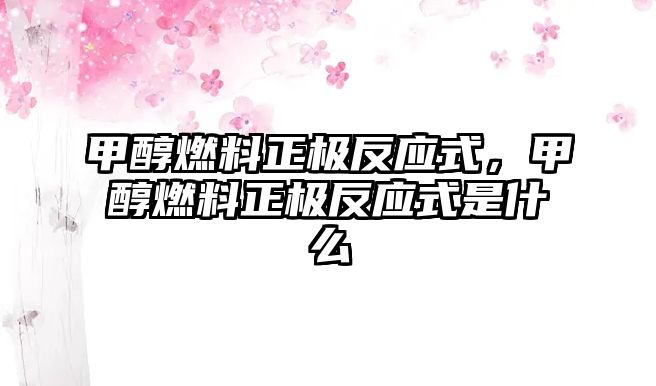 甲醇燃料正極反應(yīng)式，甲醇燃料正極反應(yīng)式是什么