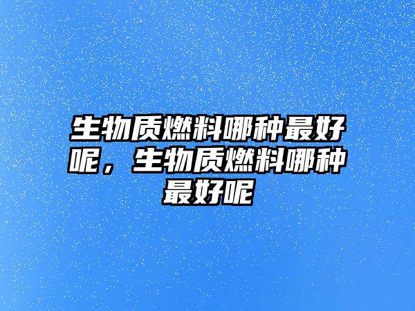 生物質燃料哪種最好呢，生物質燃料哪種最好呢