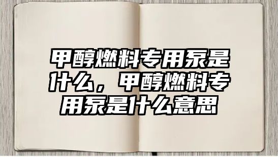 甲醇燃料專用泵是什么，甲醇燃料專用泵是什么意思