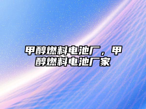 甲醇燃料電池廠，甲醇燃料電池廠家