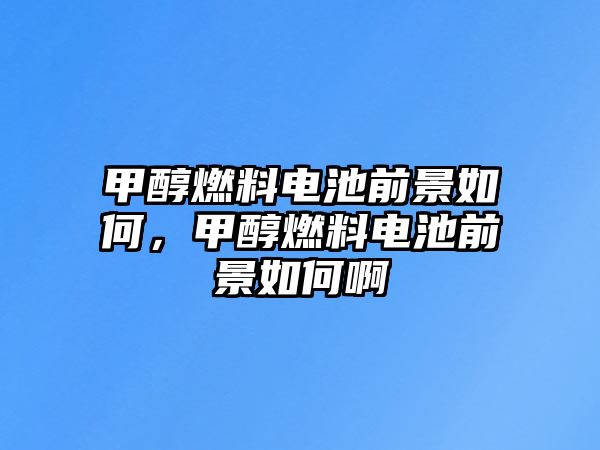 甲醇燃料電池前景如何，甲醇燃料電池前景如何啊