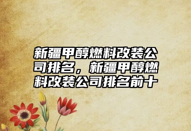 新疆甲醇燃料改裝公司排名，新疆甲醇燃料改裝公司排名前十