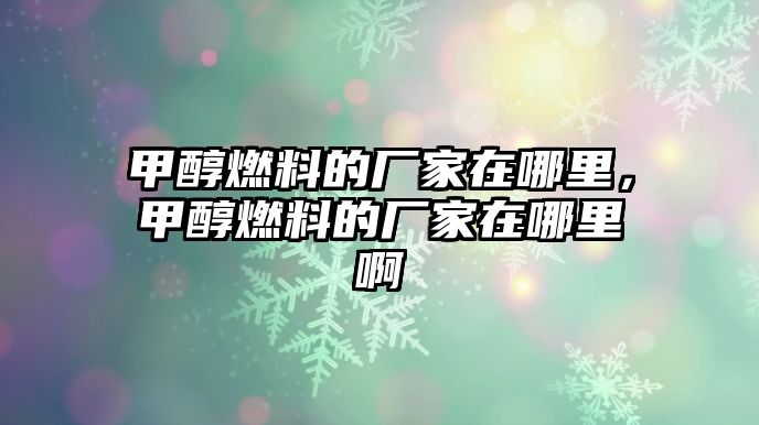 甲醇燃料的廠家在哪里，甲醇燃料的廠家在哪里啊