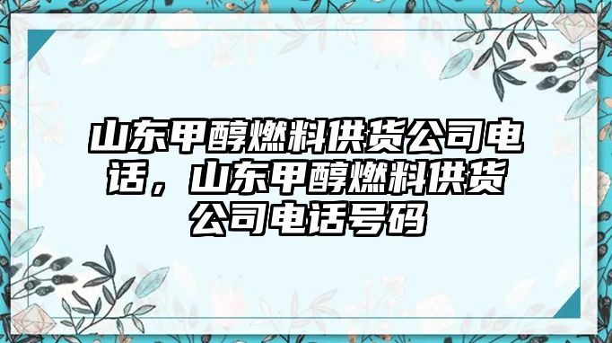 山東甲醇燃料供貨公司電話，山東甲醇燃料供貨公司電話號碼