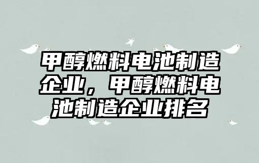 甲醇燃料電池制造企業(yè)，甲醇燃料電池制造企業(yè)排名