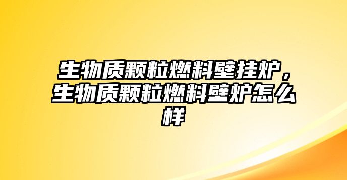 生物質(zhì)顆粒燃料壁掛爐，生物質(zhì)顆粒燃料壁爐怎么樣