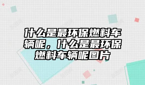 什么是最環(huán)保燃料車輛呢，什么是最環(huán)保燃料車輛呢圖片