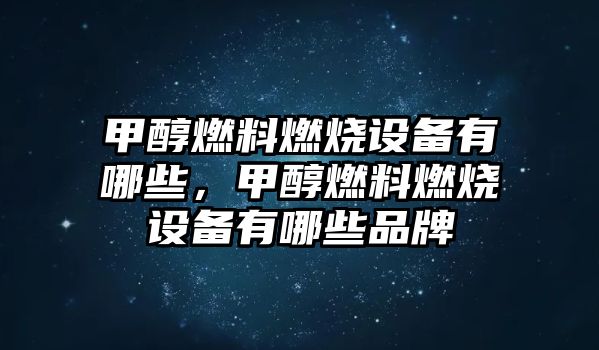 甲醇燃料燃燒設備有哪些，甲醇燃料燃燒設備有哪些品牌