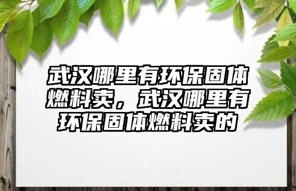 武漢哪里有環(huán)保固體燃料賣，武漢哪里有環(huán)保固體燃料賣的