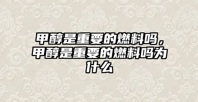 甲醇是重要的燃料嗎，甲醇是重要的燃料嗎為什么