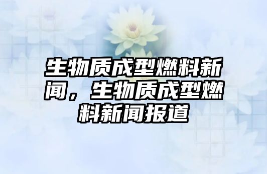 生物質(zhì)成型燃料新聞，生物質(zhì)成型燃料新聞報(bào)道