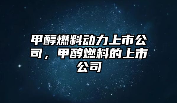 甲醇燃料動力上市公司，甲醇燃料的上市公司