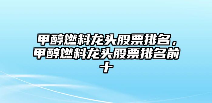 甲醇燃料龍頭股票排名，甲醇燃料龍頭股票排名前十