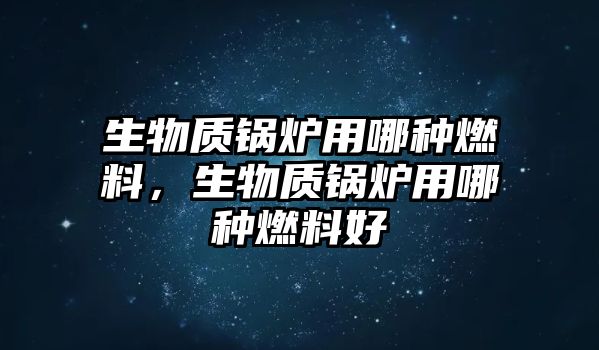 生物質(zhì)鍋爐用哪種燃料，生物質(zhì)鍋爐用哪種燃料好