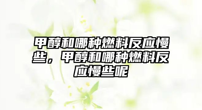 甲醇和哪種燃料反應慢些，甲醇和哪種燃料反應慢些呢