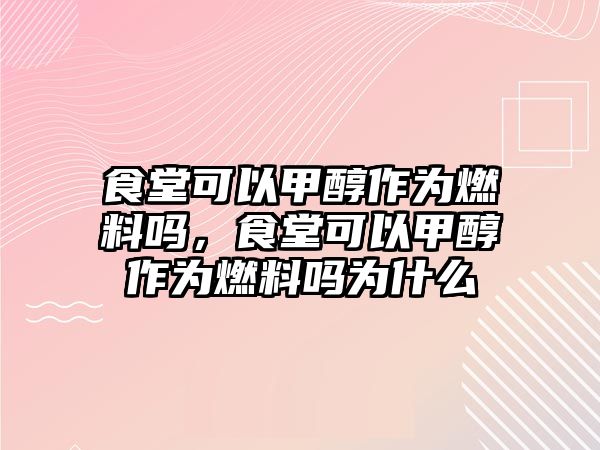 食堂可以甲醇作為燃料嗎，食堂可以甲醇作為燃料嗎為什么