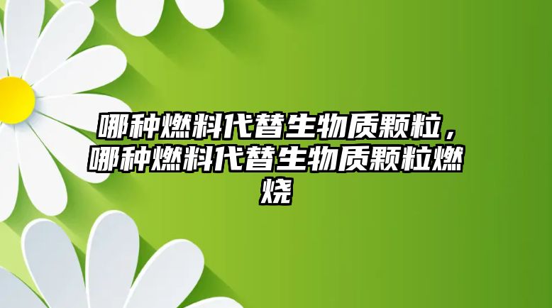 哪種燃料代替生物質(zhì)顆粒，哪種燃料代替生物質(zhì)顆粒燃燒