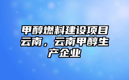 甲醇燃料建設(shè)項(xiàng)目云南，云南甲醇生產(chǎn)企業(yè)