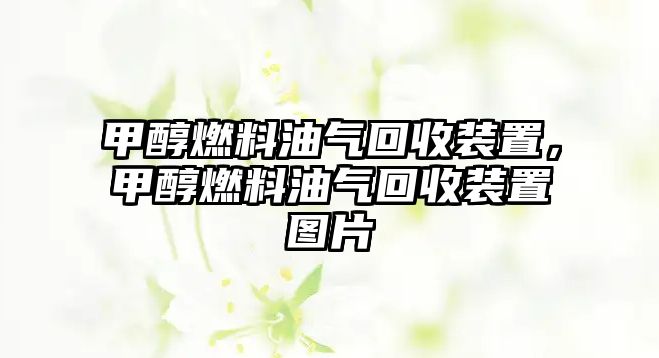 甲醇燃料油氣回收裝置，甲醇燃料油氣回收裝置圖片