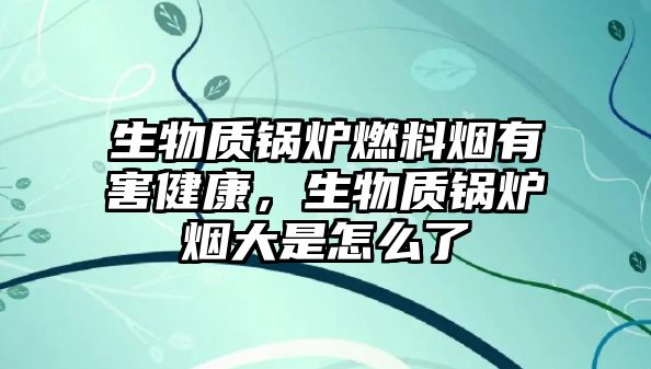 生物質(zhì)鍋爐燃料煙有害健康，生物質(zhì)鍋爐煙大是怎么了