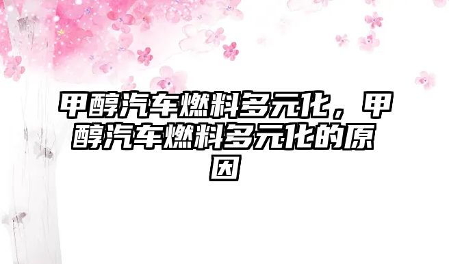 甲醇汽車燃料多元化，甲醇汽車燃料多元化的原因