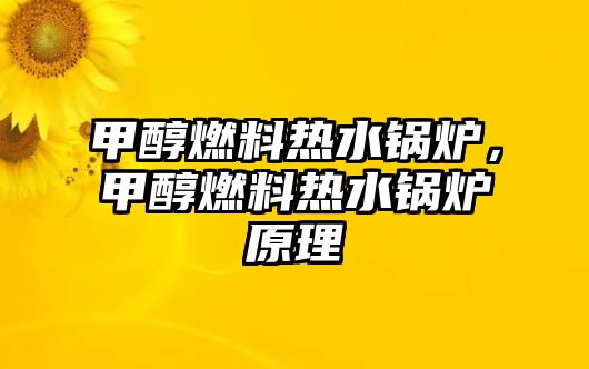 甲醇燃料熱水鍋爐，甲醇燃料熱水鍋爐原理