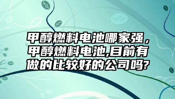 甲醇燃料電池哪家強(qiáng)，甲醇燃料電池,目前有做的比較好的公司嗎?