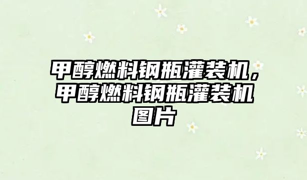 甲醇燃料鋼瓶灌裝機，甲醇燃料鋼瓶灌裝機圖片