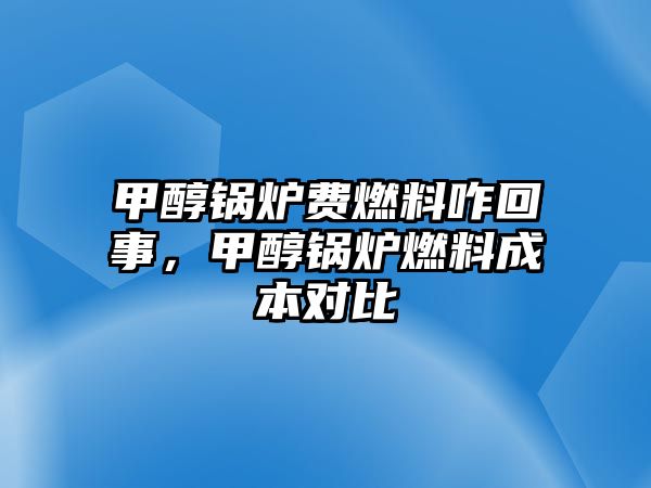 甲醇鍋爐費燃料咋回事，甲醇鍋爐燃料成本對比