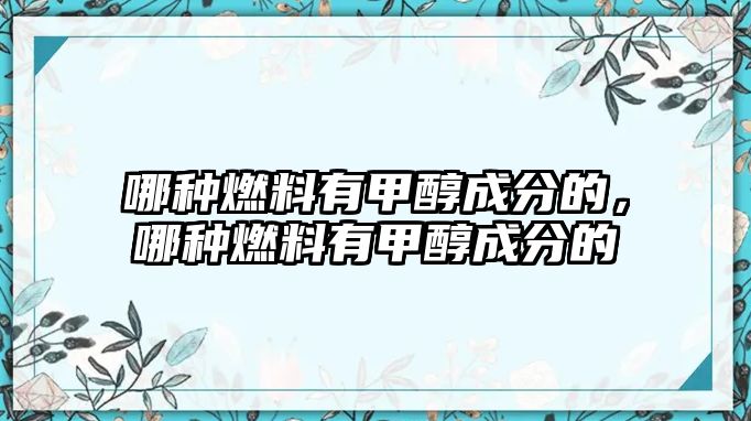 哪種燃料有甲醇成分的，哪種燃料有甲醇成分的