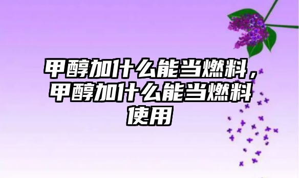 甲醇加什么能當燃料，甲醇加什么能當燃料使用