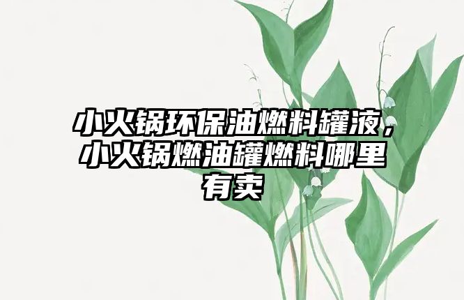 小火鍋環(huán)保油燃料罐液，小火鍋燃油罐燃料哪里有賣