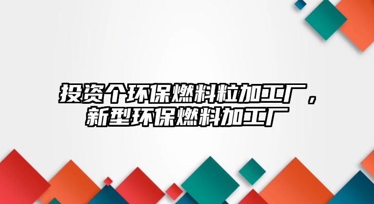 投資個環(huán)保燃料粒加工廠，新型環(huán)保燃料加工廠