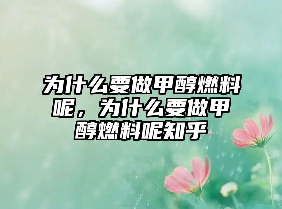 為什么要做甲醇燃料呢，為什么要做甲醇燃料呢知乎