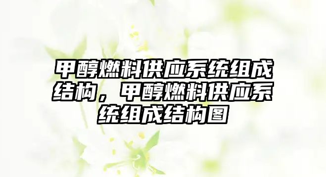 甲醇燃料供應系統(tǒng)組成結構，甲醇燃料供應系統(tǒng)組成結構圖