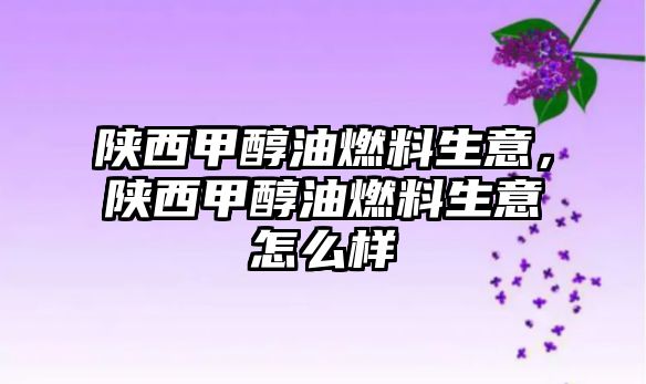 陜西甲醇油燃料生意，陜西甲醇油燃料生意怎么樣