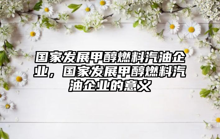 國(guó)家發(fā)展甲醇燃料汽油企業(yè)，國(guó)家發(fā)展甲醇燃料汽油企業(yè)的意義