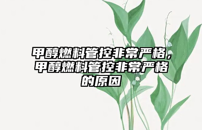 甲醇燃料管控非常嚴(yán)格，甲醇燃料管控非常嚴(yán)格的原因