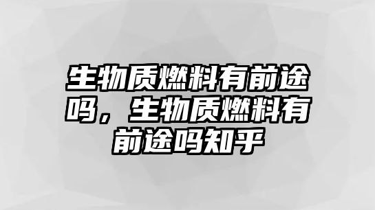 生物質(zhì)燃料有前途嗎，生物質(zhì)燃料有前途嗎知乎