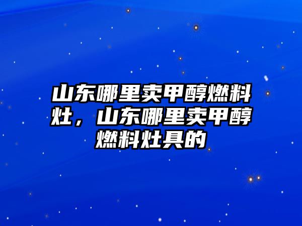 山東哪里賣甲醇燃料灶，山東哪里賣甲醇燃料灶具的