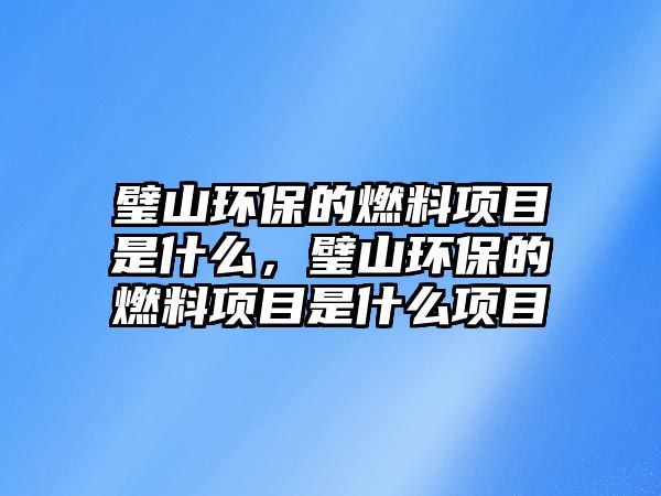 璧山環(huán)保的燃料項目是什么，璧山環(huán)保的燃料項目是什么項目