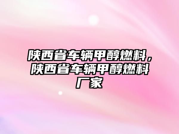 陜西省車輛甲醇燃料，陜西省車輛甲醇燃料廠家