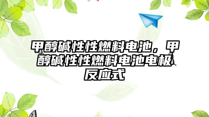 甲醇堿性性燃料電池，甲醇堿性性燃料電池電極反應(yīng)式