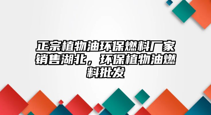 正宗植物油環(huán)保燃料廠家銷售湖北，環(huán)保植物油燃料批發(fā)