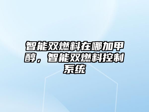 智能雙燃料在哪加甲醇，智能雙燃料控制系統(tǒng)