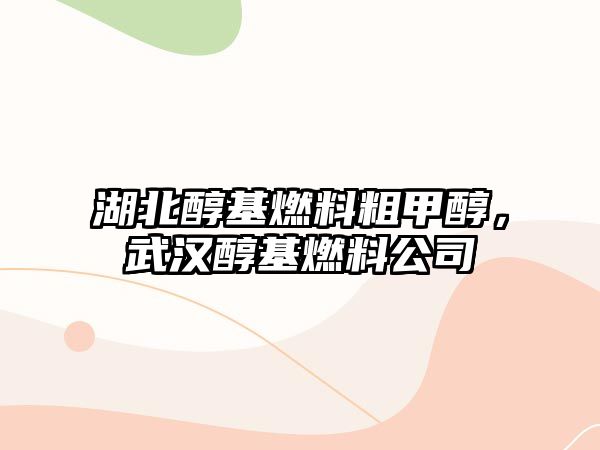 湖北醇基燃料粗甲醇，武漢醇基燃料公司