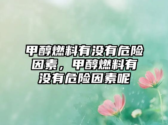 甲醇燃料有沒有危險(xiǎn)因素，甲醇燃料有沒有危險(xiǎn)因素呢