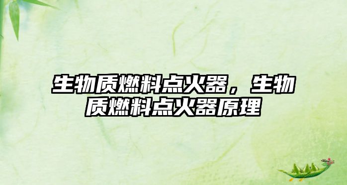 生物質(zhì)燃料點(diǎn)火器，生物質(zhì)燃料點(diǎn)火器原理