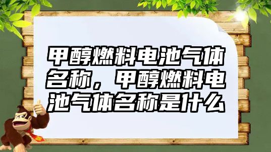 甲醇燃料電池氣體名稱，甲醇燃料電池氣體名稱是什么