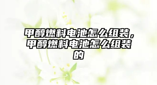 甲醇燃料電池怎么組裝，甲醇燃料電池怎么組裝的